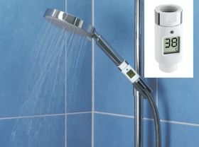 Shower thermometer